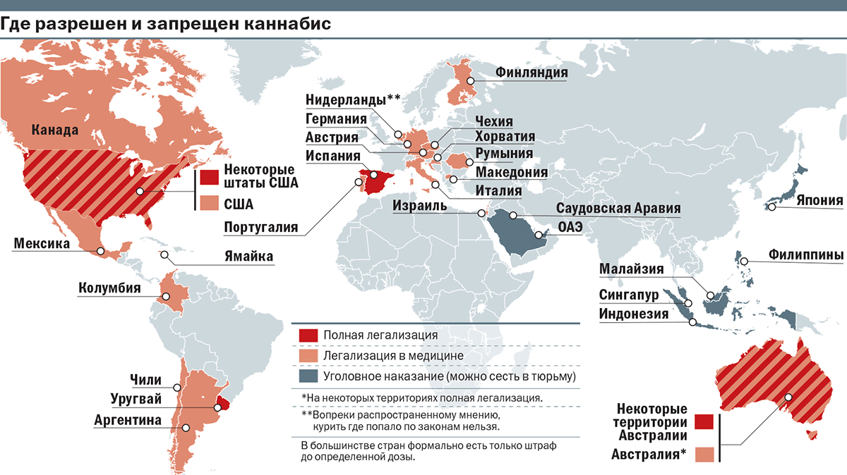 Вред употребления конопли