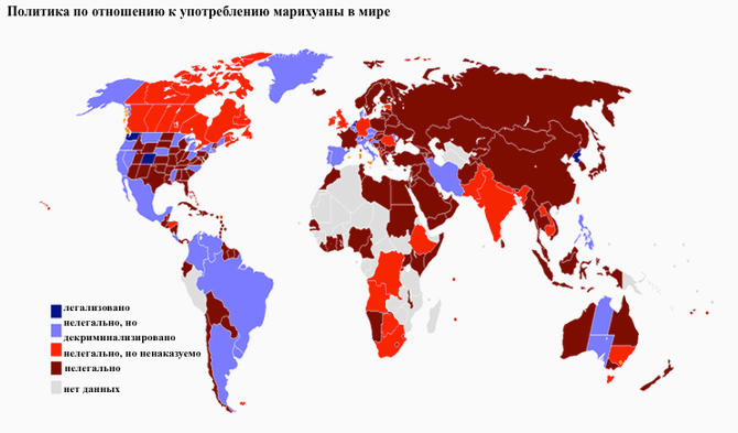 Последствия употребления марихуаны